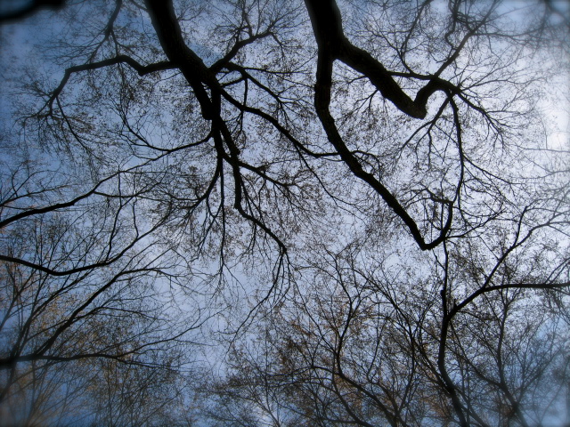 c0120817_11571662.jpg