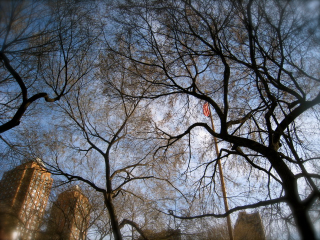 c0120817_11574041.jpg