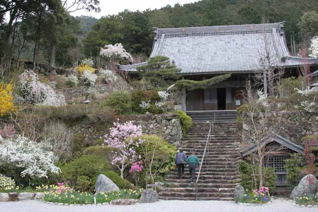 花の寺_e0008820_7132999.jpg