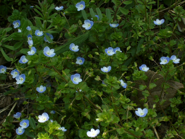 c0117525_13212458.jpg
