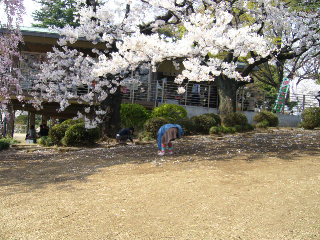 4月3日　晴れ　お花見日和_f0023329_15401493.jpg