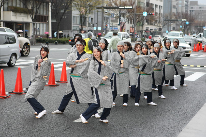 京都　さくらよさこい　vol.4_a0095531_2282715.jpg