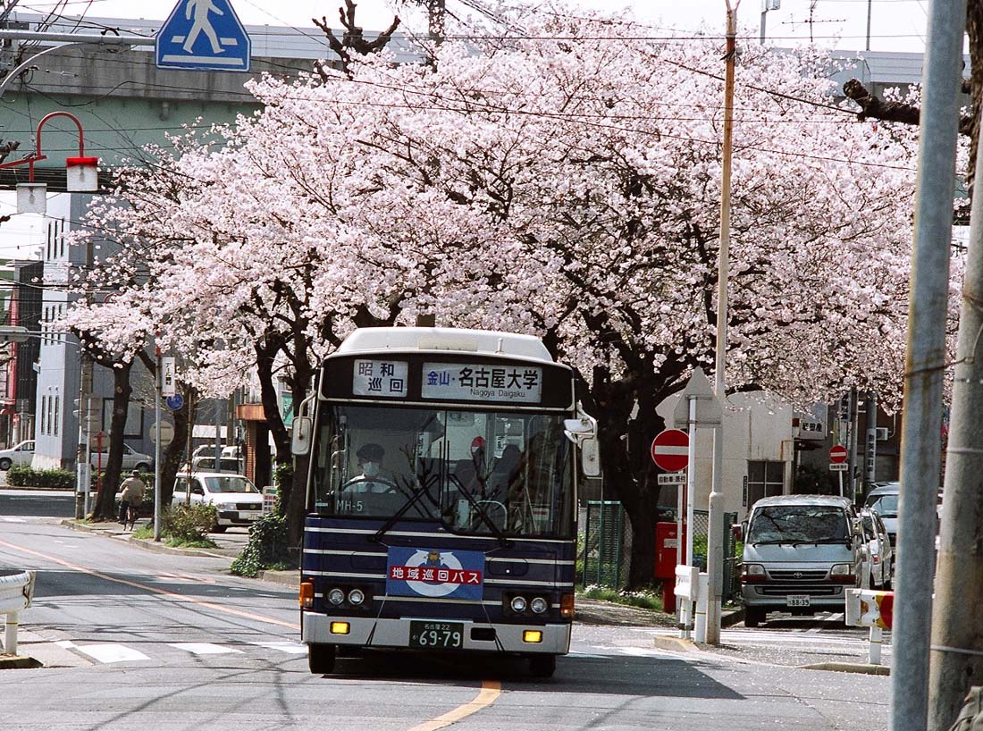 桜と乗り物_a0082347_20331876.jpg