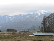 参鶏湯・サムゲタン_f0019247_21404744.jpg