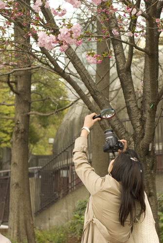 撮影会お散歩～上野公園お花見～_f0140647_21463164.jpg