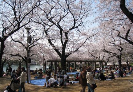 東京散歩 洗足池公園編_c0004750_18351325.jpg