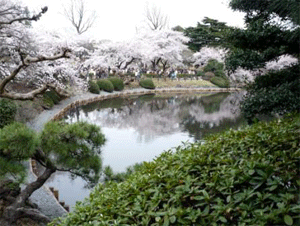 a0044453_10442479.gif