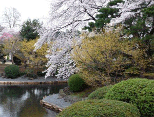 a0044453_10444661.gif