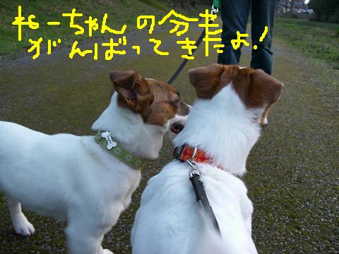 f0108553_20132417.jpg