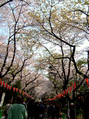 e0036558_23185780.jpg