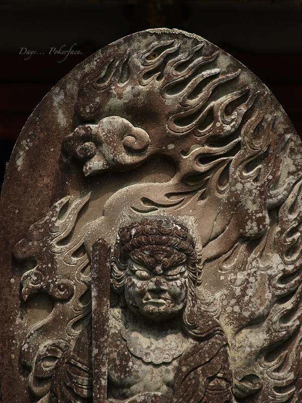 京の春 − 世界文化遺産 醍醐寺の桜_d0079559_195699.jpg