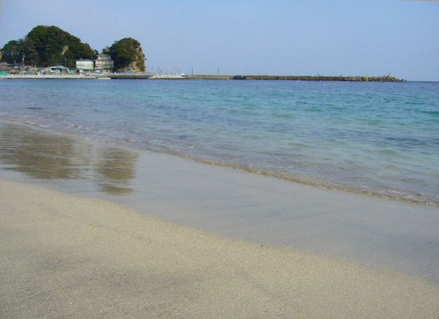 4月2日(水)春うららの興津海岸!_f0060461_002852.jpg