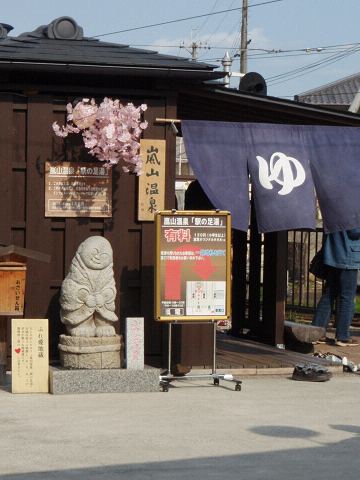 都の花 ０８　～嵐山～　　_c0063468_21291741.jpg