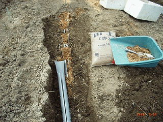 c0126271_10311382.gif