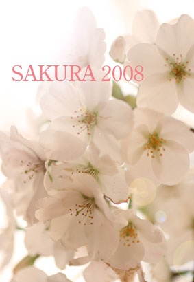 sakura_f0057874_234175.jpg