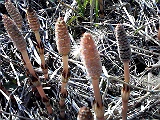 f0140174_033030.jpg