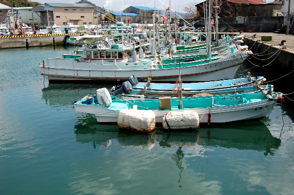 c0009275_2361999.jpg