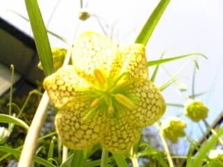 e0046477_21261663.jpg
