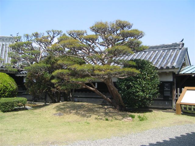 f0140087_07544.jpg