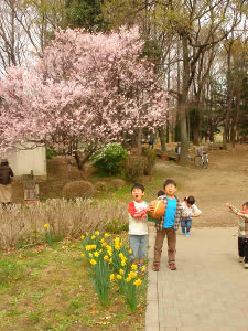 b0052394_21284041.jpg