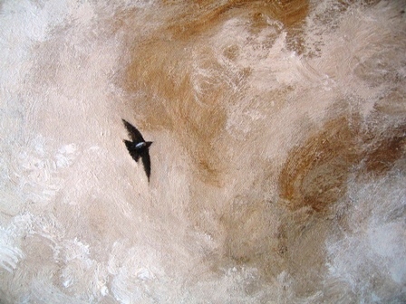 f0129894_15284690.jpg