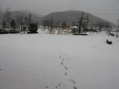 4月の雪_b0111095_16313122.jpg