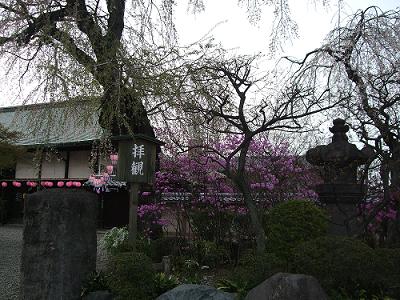 f0153998_10255525.jpg