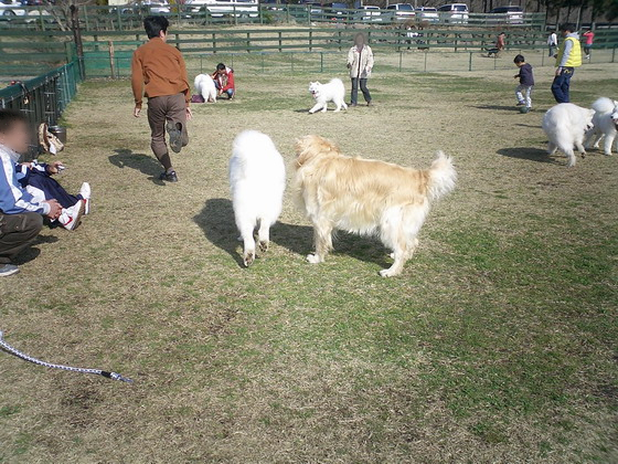 f0025103_16344755.jpg