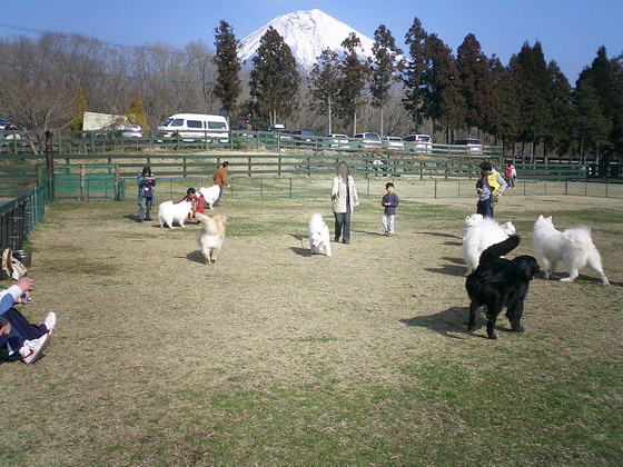 f0025103_16345772.jpg