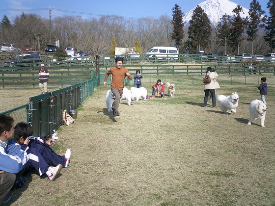 f0025103_1635740.jpg