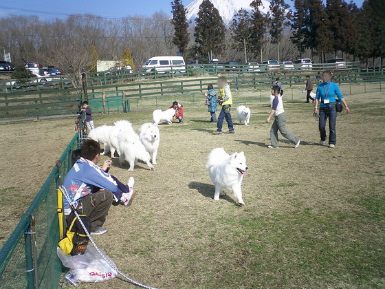 f0025103_1638947.jpg