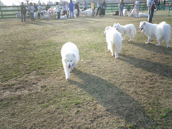 f0025103_16505390.jpg