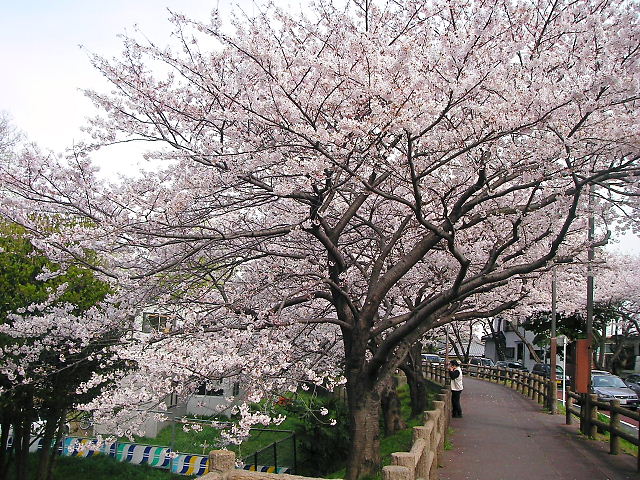 f0038407_04387.jpg