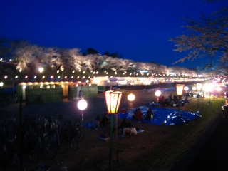 d0030521_10361534.jpg