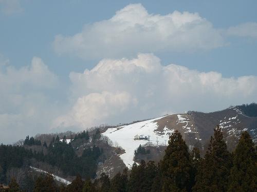 今日はとてもいい天気で、暑く感じるほどです_d0015124_14543079.jpg