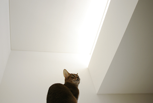 e0090124_761849.jpg