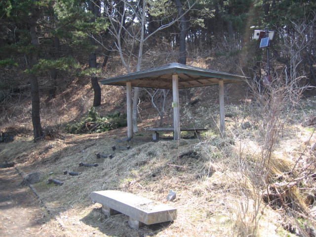 八戸の厳寒口種差に春が来た。【深久保漁港→種差芝生地】（その３）_e0132433_14452362.jpg