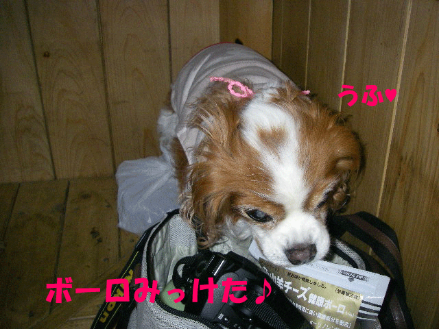 c0136838_22295526.gif