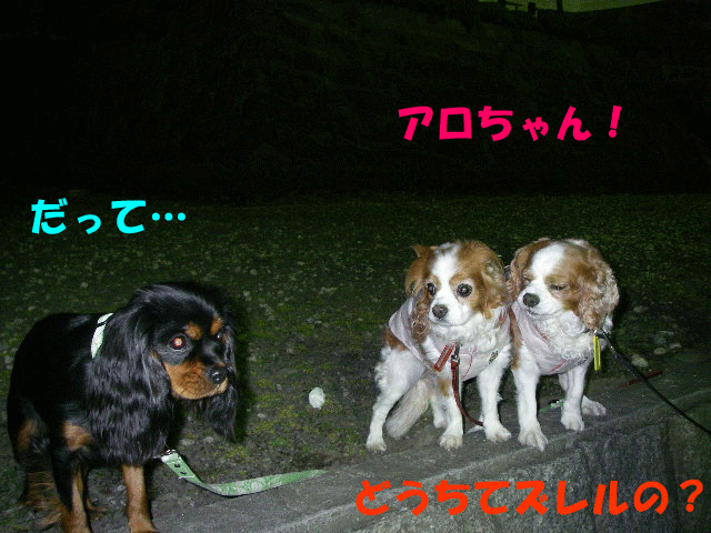 c0136838_22331089.gif