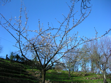 d0136540_5423412.jpg