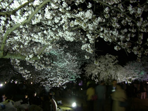 a0100946_2237832.jpg