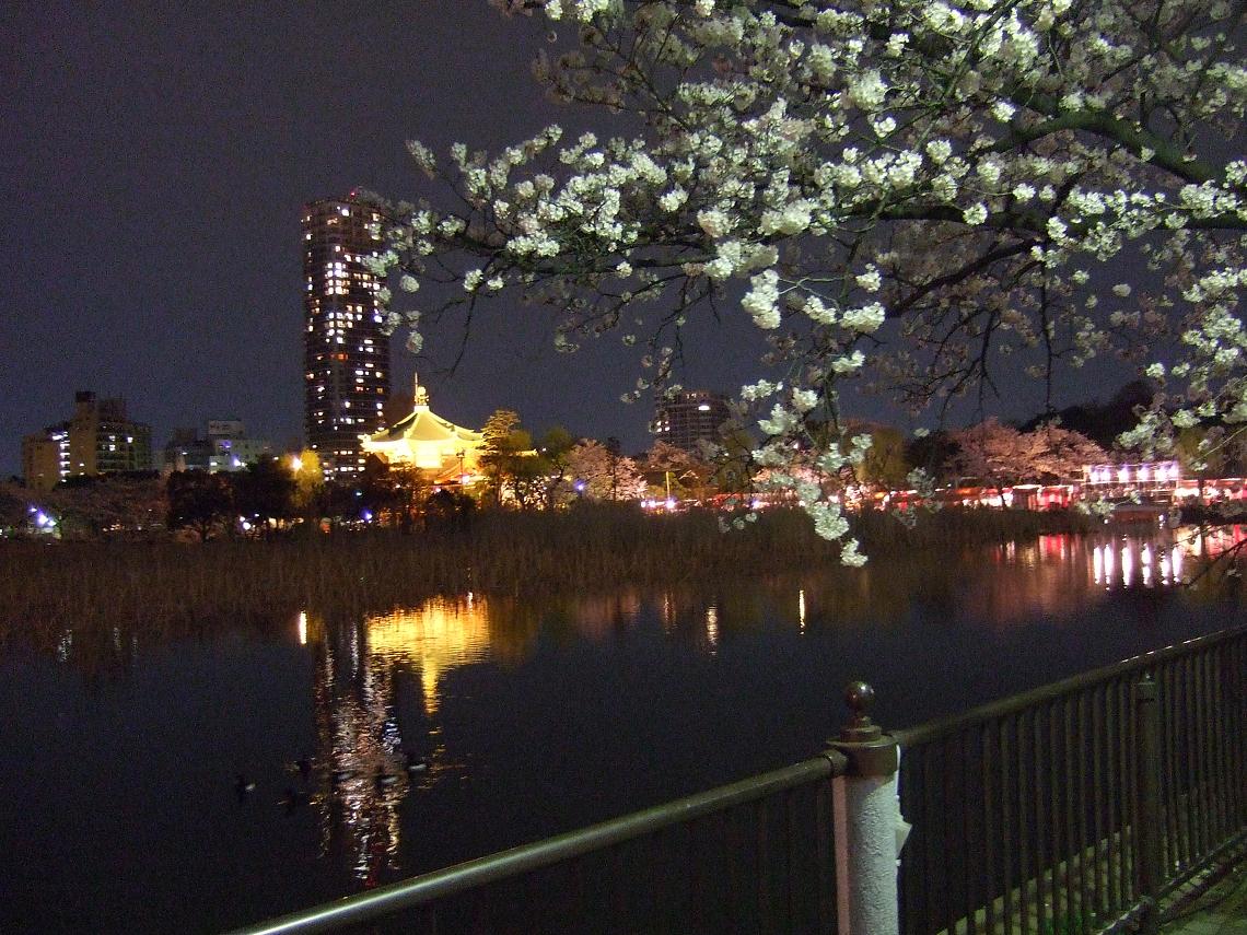 上野パーク②＋夜桜のもと、不忍池で海外旅行_e0117054_2415490.jpg