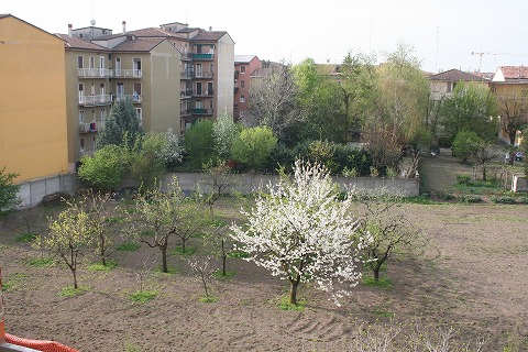 d0047461_8174950.jpg