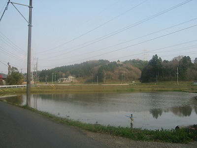a0044166_021644.jpg
