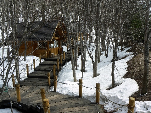 b0068572_7224790.jpg