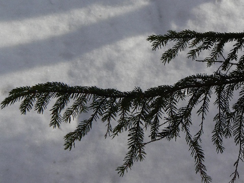 b0068572_7235678.jpg