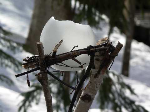 b0068572_7243966.jpg