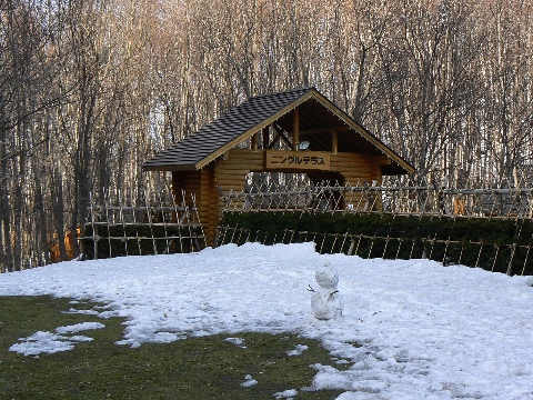 b0068572_7245438.jpg