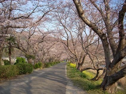 c0153173_21305519.jpg