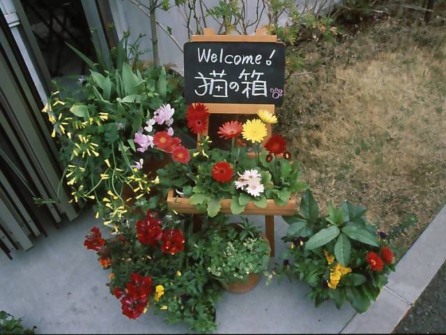 b0074377_1246959.jpg